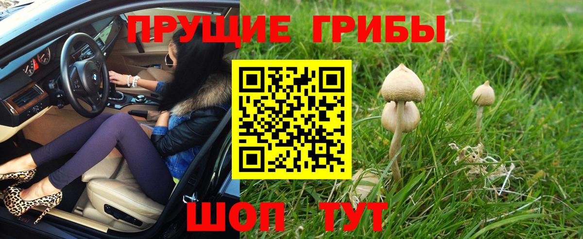 Псилоцибиновые грибы MAGIC MUSHROOMS  где найти   Галлюциногенные грибы Psilocybine cubensis  Новошахтинск  Вход с VPN 